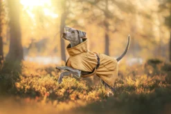 Hot RUKKA PETS Stormy coat