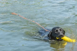 Online RUKKA PETS Swi leash