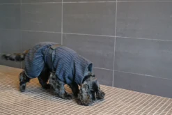 New RUKKA PETS x UHTA HOE Aato Pet Bathrobe