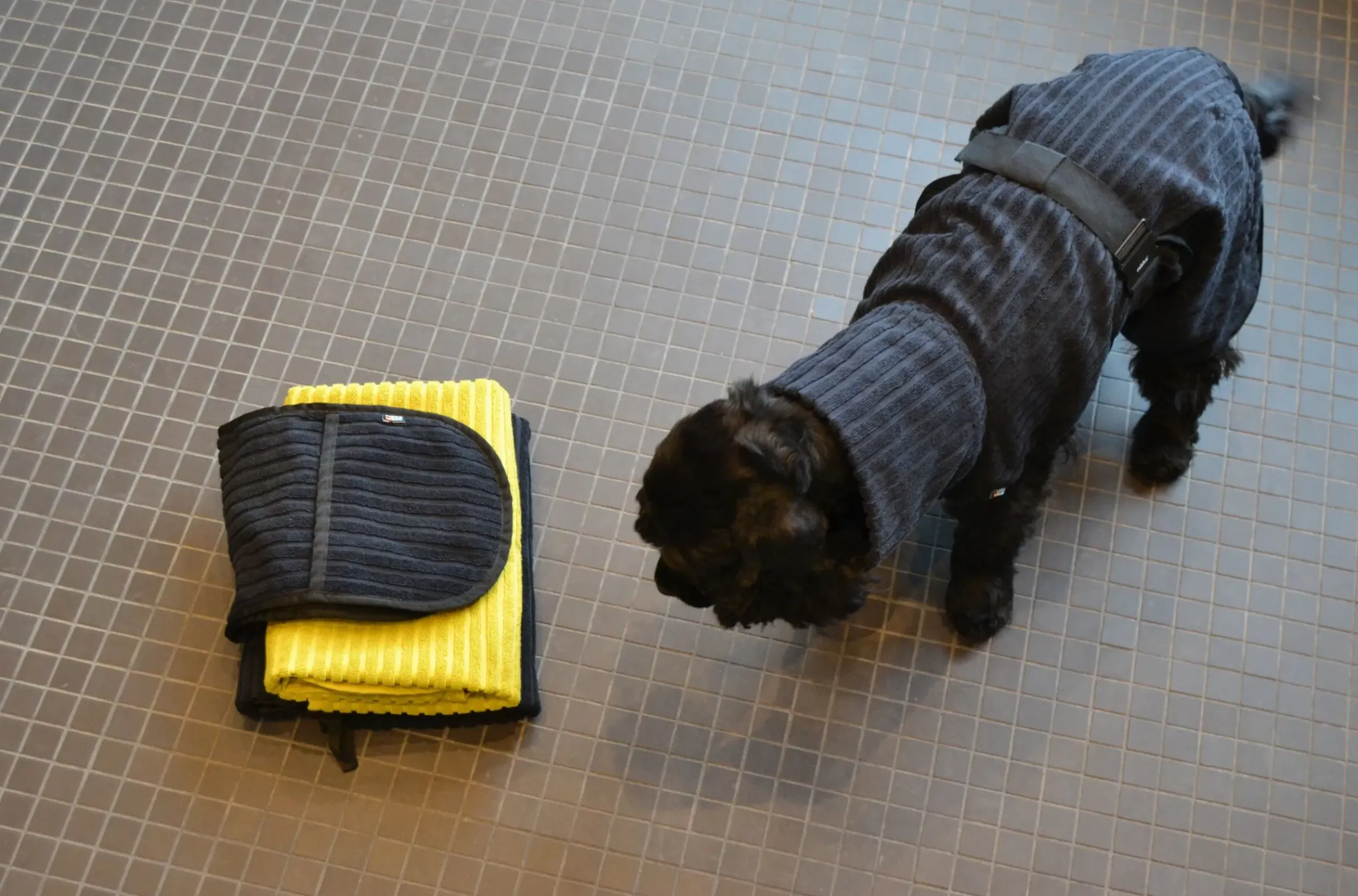 New RUKKA PETS x UHTA HOE Aato Pet Bathrobe