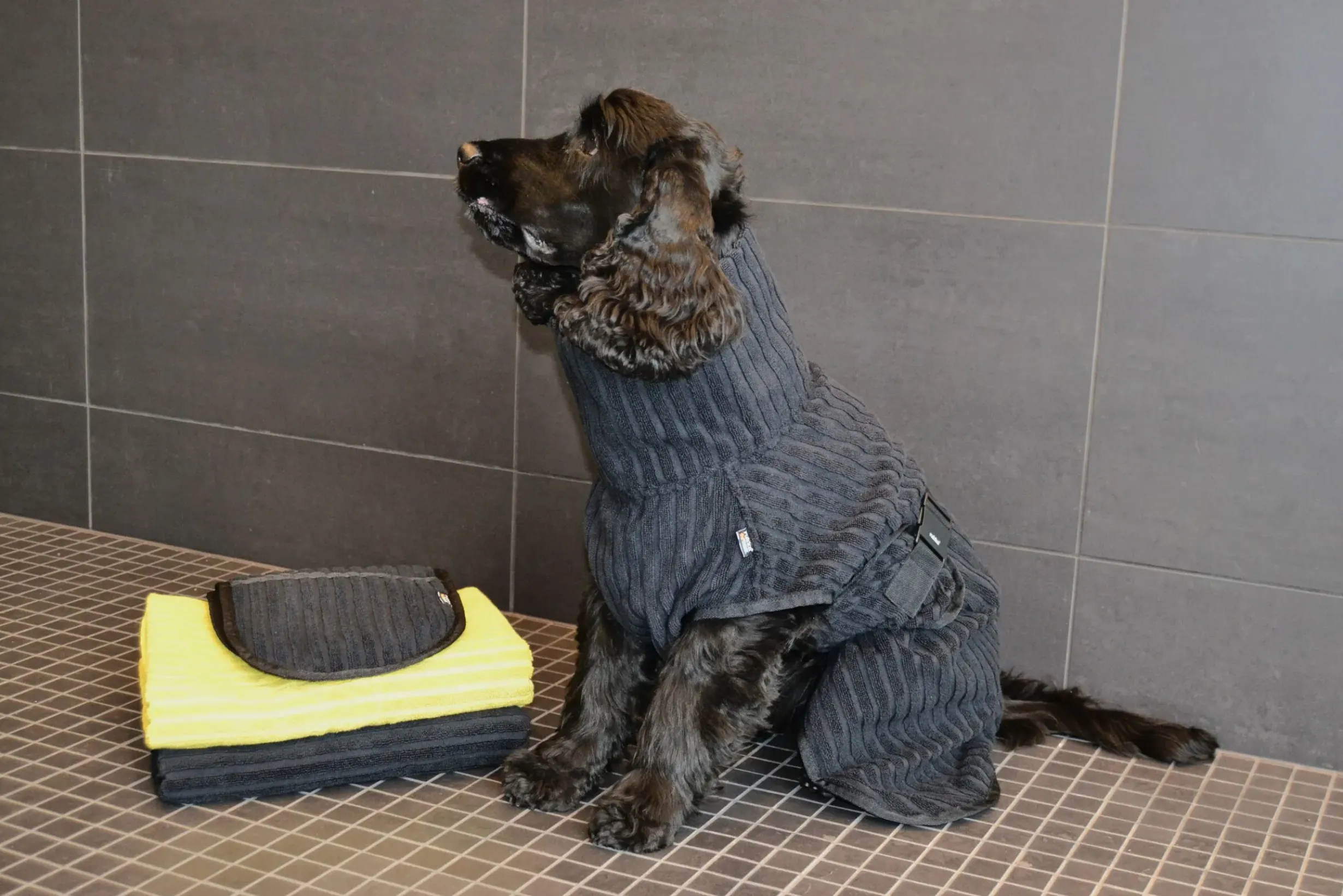 New RUKKA PETS x UHTA HOE Aato Pet Bathrobe