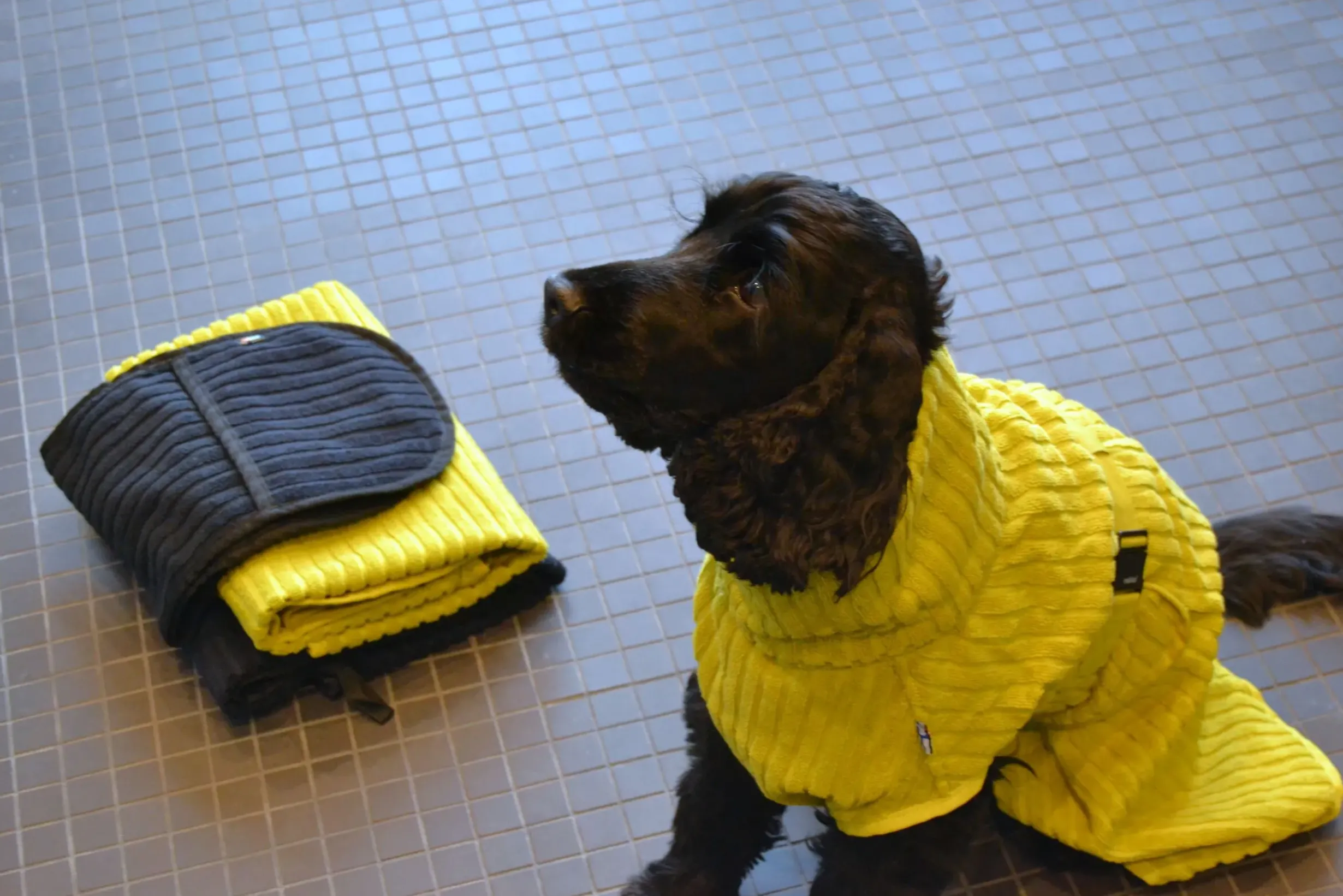Clearance RUKKA PETS x UHTA HOE Aato Pet Bathrobe