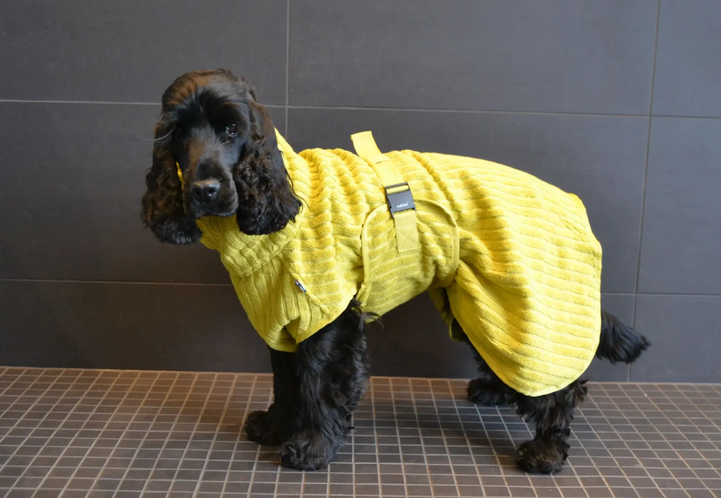 Clearance RUKKA PETS x UHTA HOE Aato Pet Bathrobe